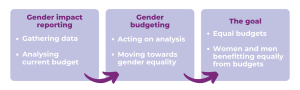 Gender budgeting steps: gender impact reporting, gender budgeting